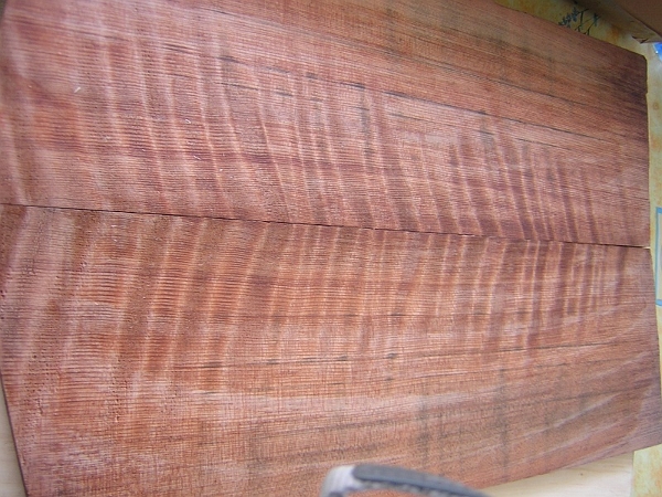 Red tiger woud (sequoia).jpg